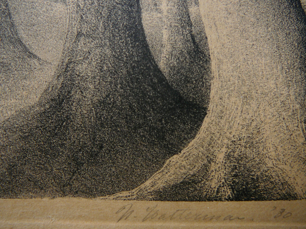 'Woud' -litho, handgesigneerd 1930- kopen? Bied vanaf 25!