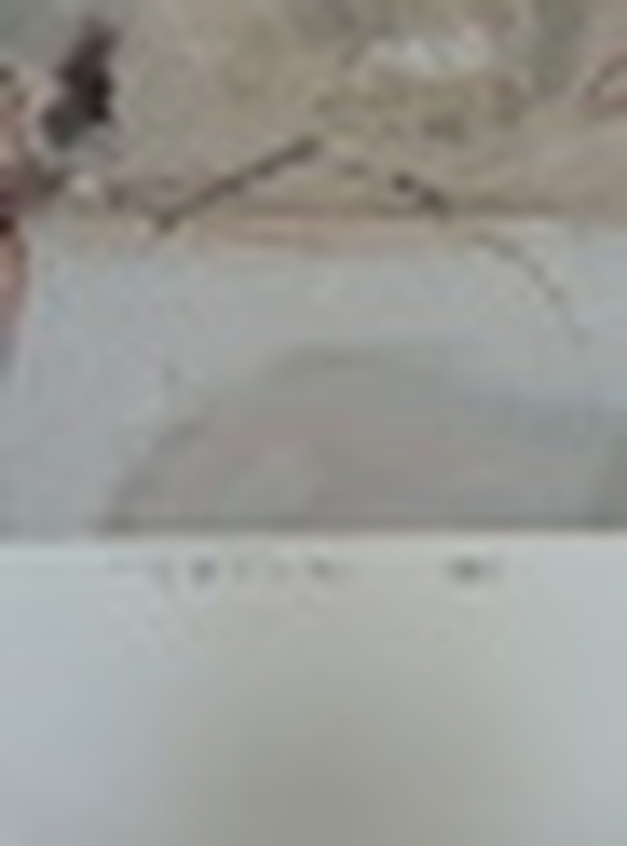 Ron van der Werf, Zeefdruk op papier, Titel:  kopen? Bied vanaf 50!