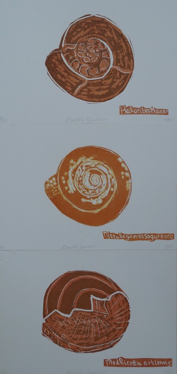 Rosetta Spadaro - serie van 3 gesigneerde linosnedes - ammonieten kopen? Bied vanaf 10!