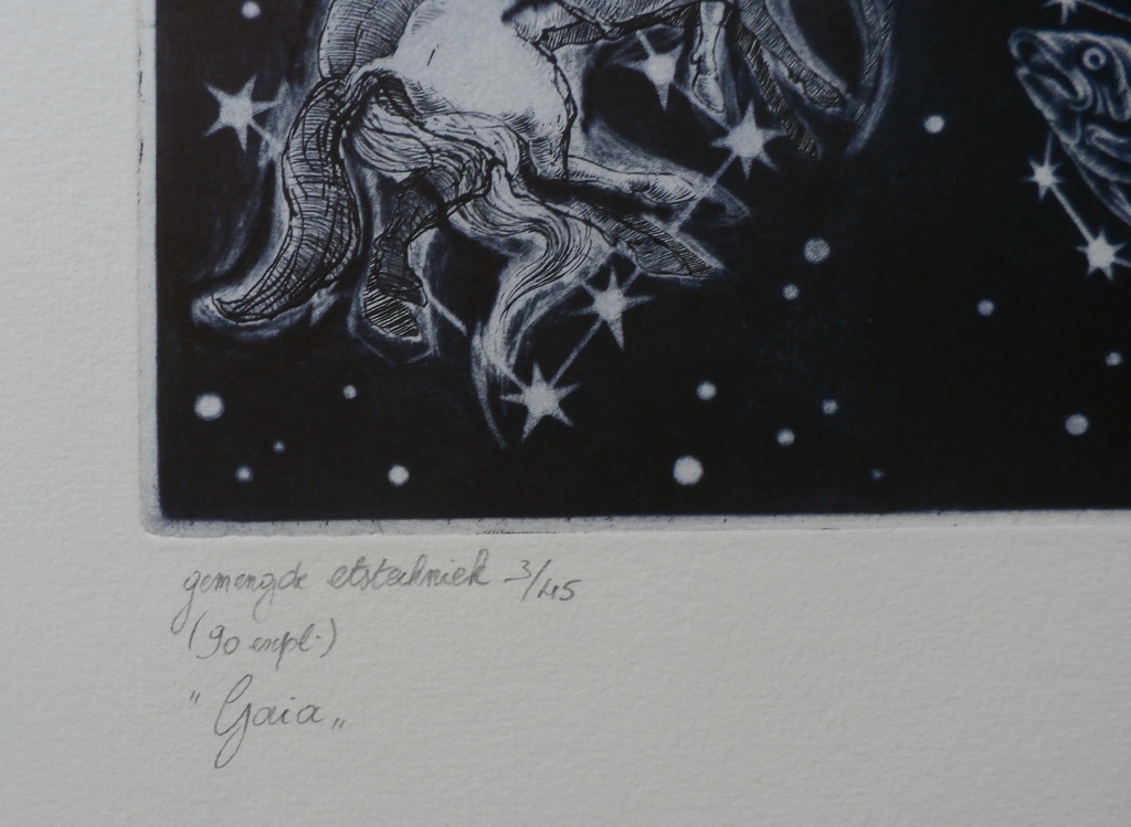 Hugo Besard - Ets - Titel: "Gaia" - 1993 kopen? Bied vanaf 55!