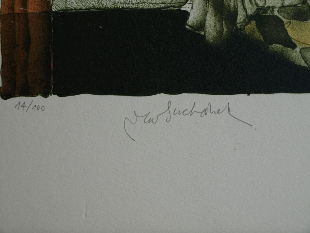 Vladimír Suchánek (1933) : Litho – Nar – Gesigneerd & ingelijst  kopen? Bied vanaf 45!