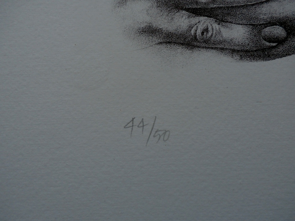 Jean-Paul Vroom - litho: handen op borsten - gesigneerd kopen? Bied vanaf 50!