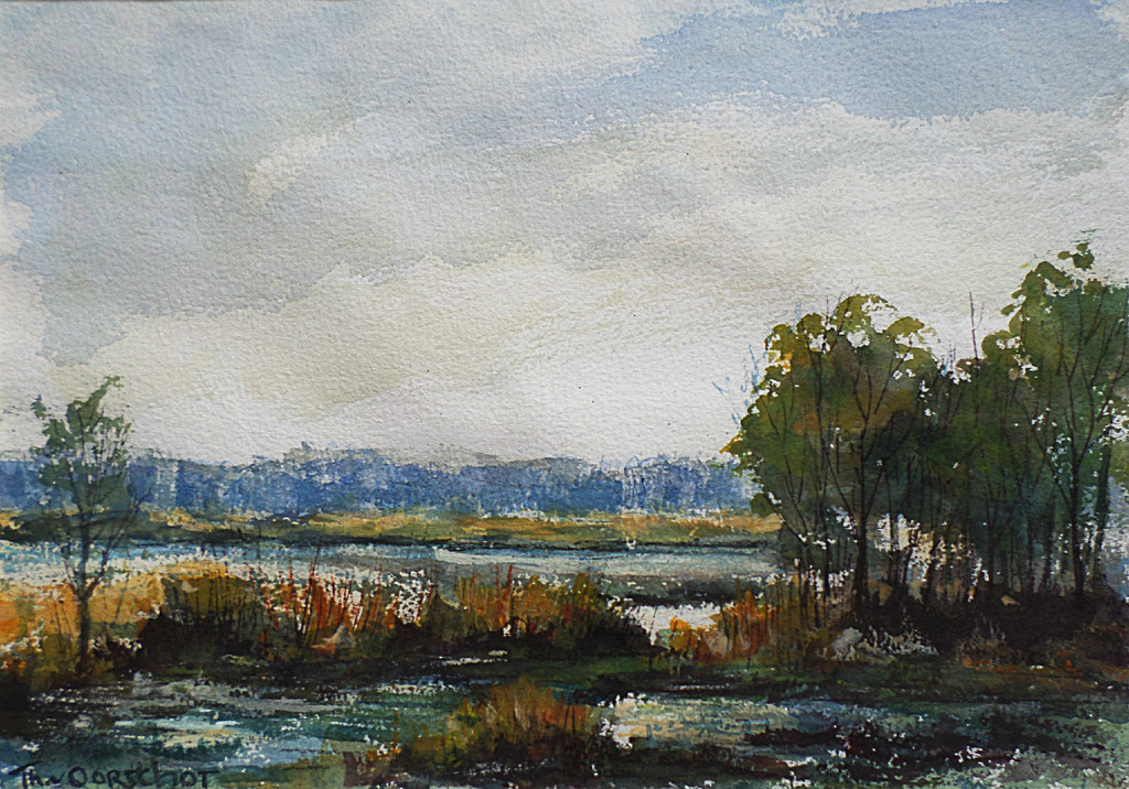 Theo van Oorschot - Brabants vennenlandschap, aquarel (ingelijst) kopen? Bied vanaf 60!