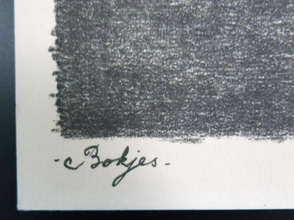 Dirk Homberg: 2x Litho, Bokjes en Zeearend kopen? Bied vanaf 35!