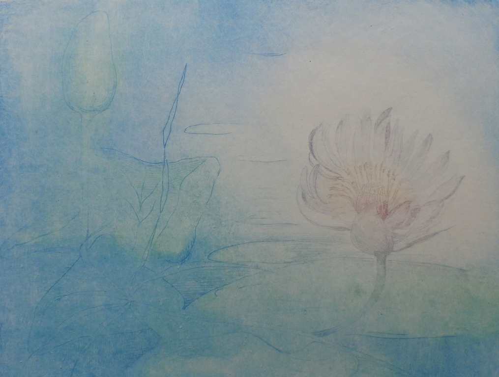 Frederika Broeksmit - Kleurenlitho: Slootje met waterlelie kopen? Bied vanaf 55!