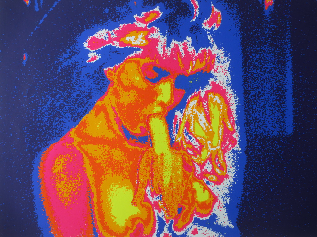 Henk van der Vet, Bananabar, Zeefdruk kopen? Bied vanaf 35!