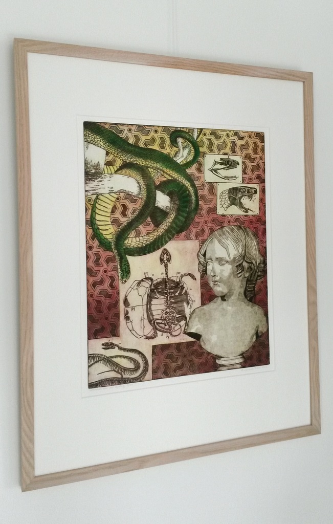 Annemarie Petri - laatste maal aangeboden - Annemarie Petri - Interieur van een ofioloog  kopen? Bied vanaf 10!