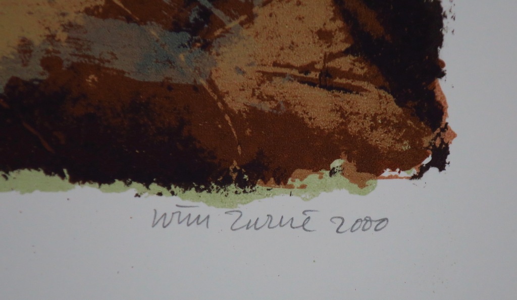 Wim Zurne: Litho, Siamees kopen? Bied vanaf 35!