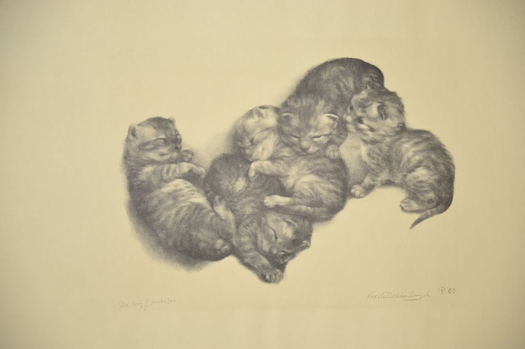 Aart van Dobbenburgh: Litho. De vijf poesjes verkocht voor € 50!