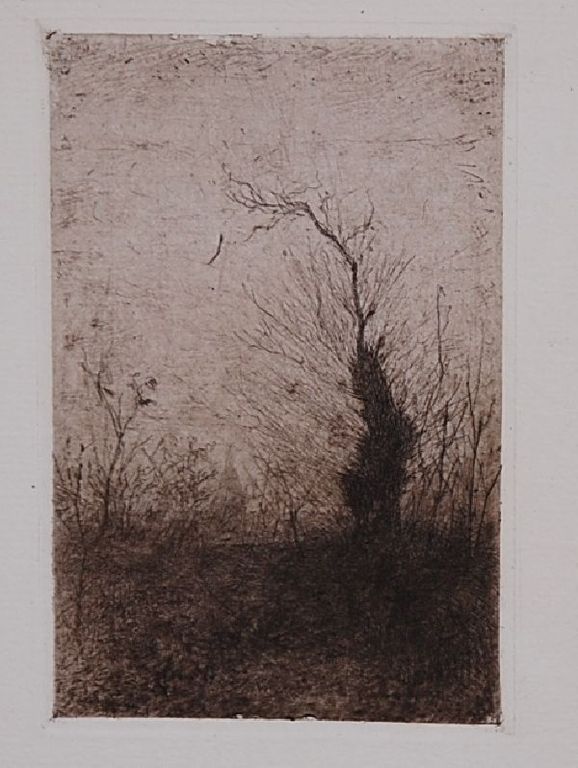 Jan Veth: Ets. Boom in landschap uit 1889 verkocht voor € 35!