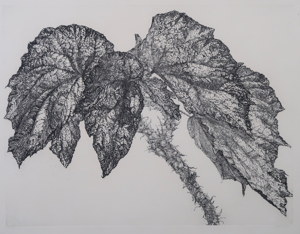 Reinder Homan: Ets, Begonia - Ingelijst verkocht voor € 50!