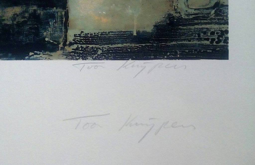 Toon Kuijpers: zeefdruk, Springflower kopen? Bied vanaf 40!