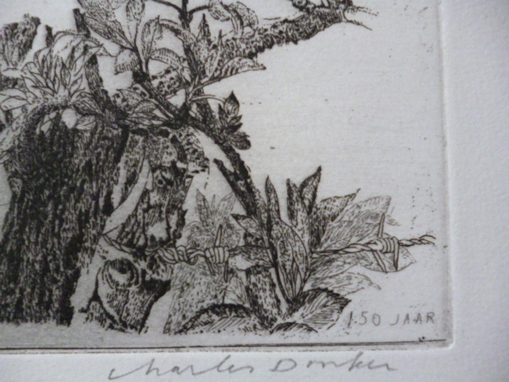 Charles Donker - ets - Flora kopen? Bied vanaf 100!