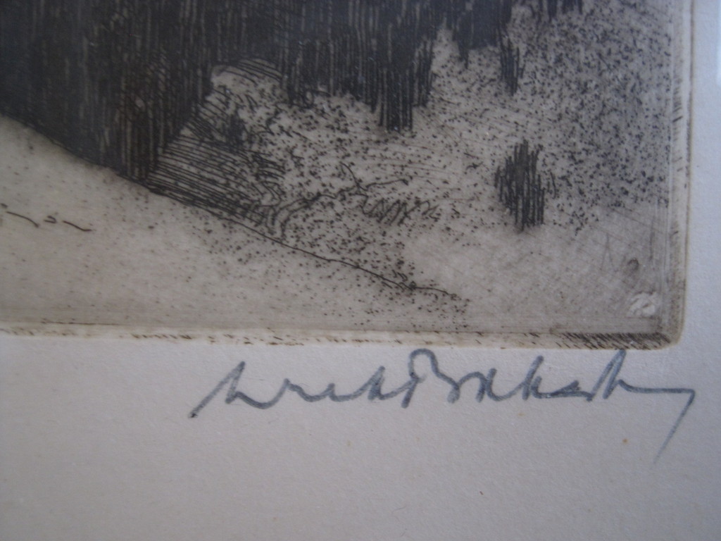 Zeldzame "Japanse periode" Ets "Alpen" gesign. Dirk Baksteen 1886-1971   kopen? Bied vanaf 1!