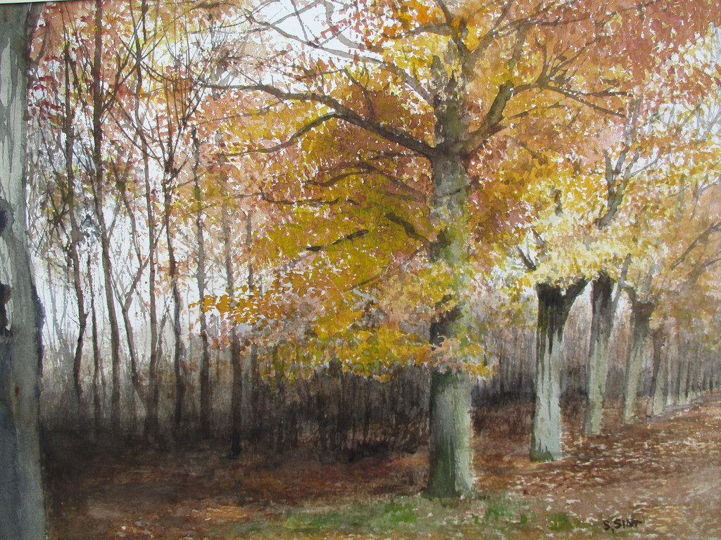Simon Sint: Gouache, Herfstbos verkocht voor € 55!