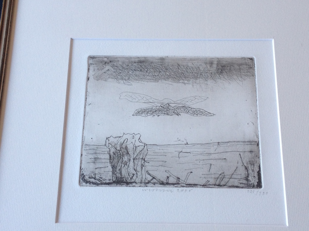 Co Westerik: ets, Vogel boven water kopen? Bied vanaf 1!