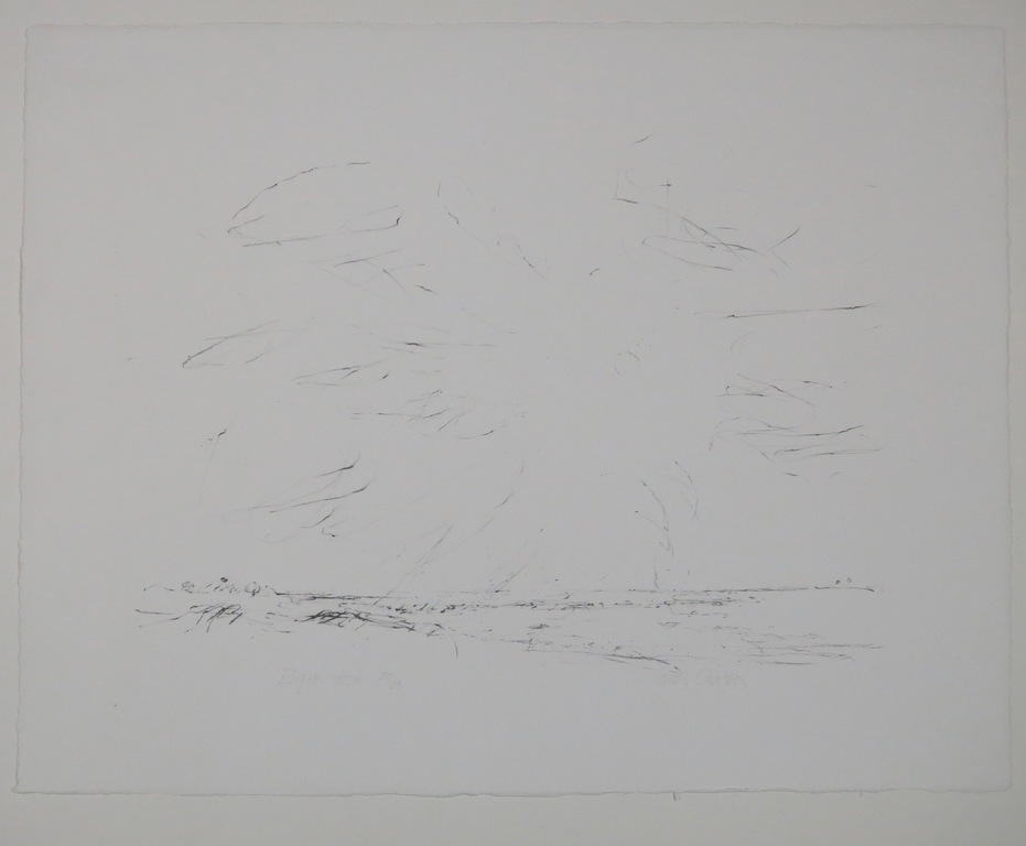 Willem den Ouden: Litho, Zonder titel II kopen? Bied vanaf 35!