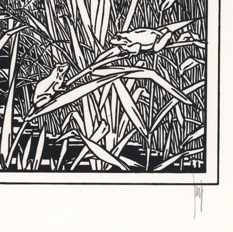 Joost Veerkamp - witte zwanen zwarte zwanen kopen? Bied vanaf 1!