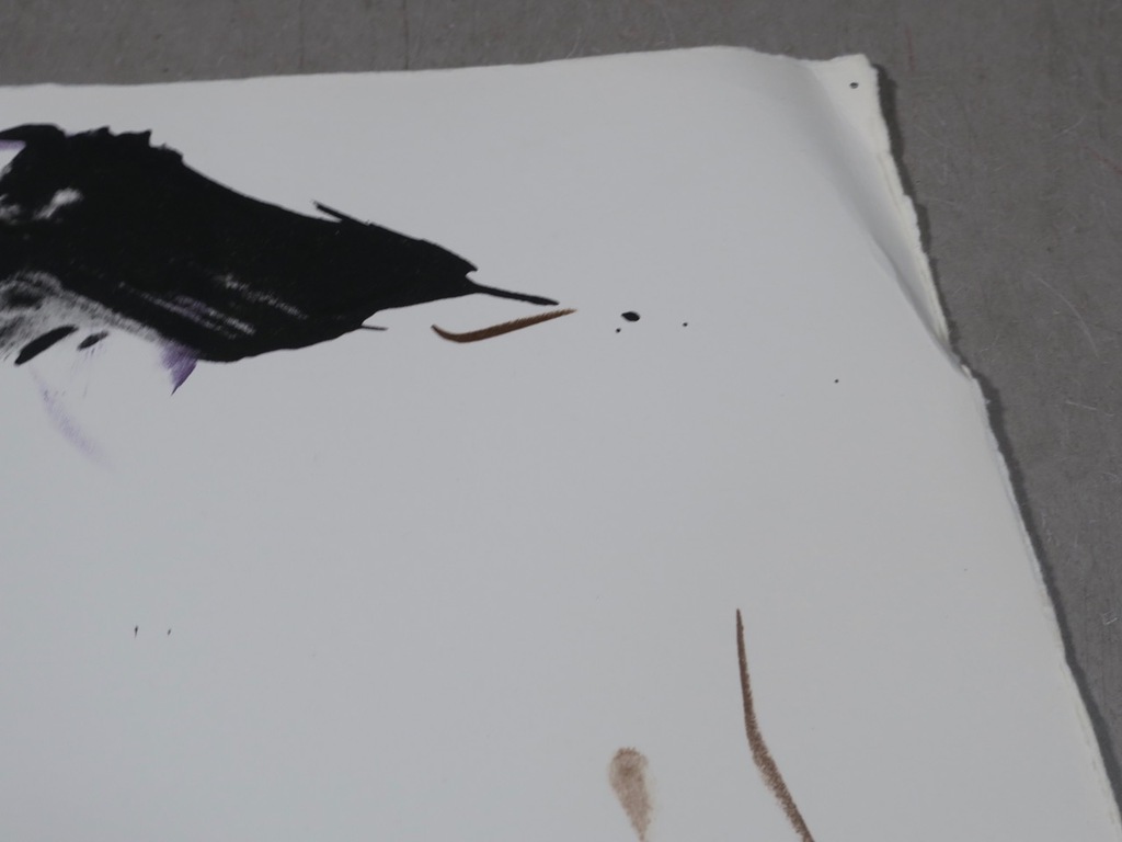 Ger Lataster: Litho, Het been kopen? Bied vanaf 1!