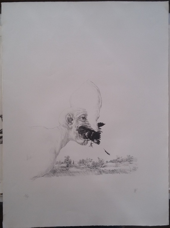 Peter Vos: Schiereiland Melancholie, grote litho verkocht voor € 65!