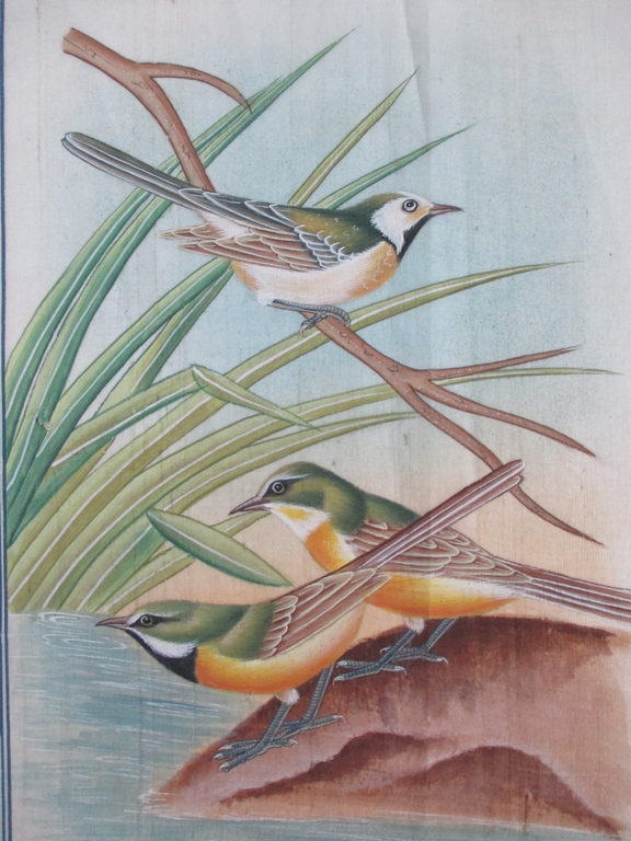 4x Handbeschilderd zijden doek: vogels kopen? Bied vanaf 15!