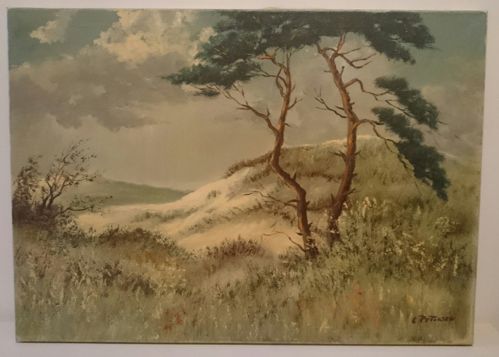 Duin landschap van onbekende kunstenaar kopen? Bied vanaf 15!