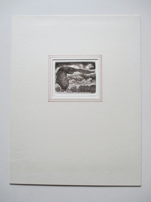 Anneke Kuijper, etsje vleermuis. kopen? Bied vanaf 25!