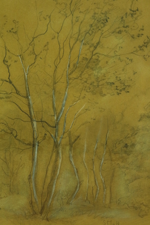 Sientje Mesdag van Houten (1834 - 1909) - gemengde techniek - studie van bomen kopen? Bied vanaf 170!