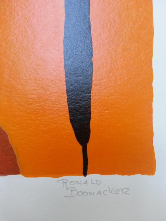 Ronald Boonacker, zeefdruk op papier, Titel; "Lago di Garda II, Italy" kopen? Bied vanaf 50!