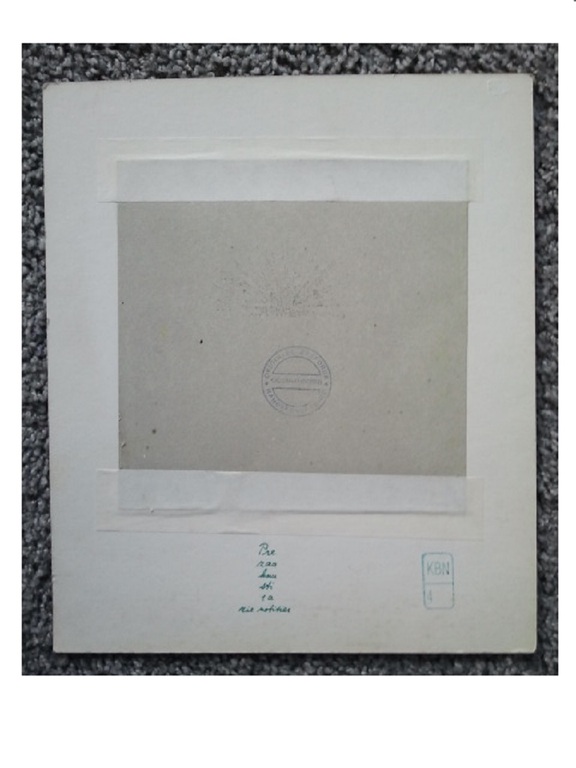 Ray Daal de paardenbloem  kopen? Bied vanaf 1!