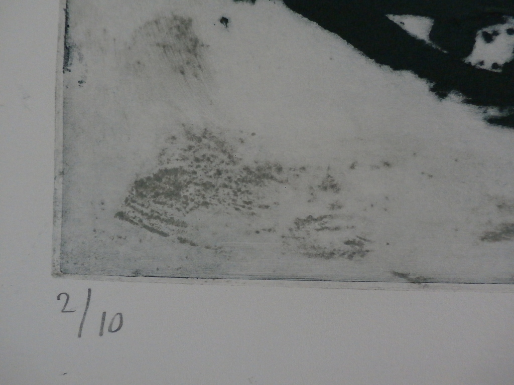 Wim Zurne - ets: kat op de vijverrand - 1996 kopen? Bied vanaf 60!