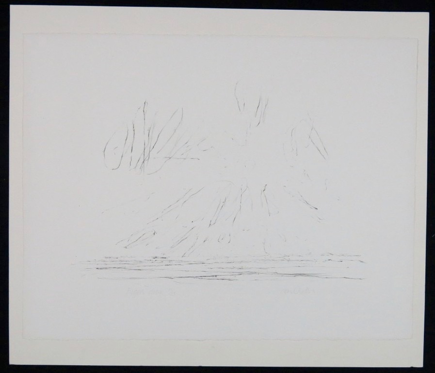 Willem den Ouden: Litho, Z.T. kopen? Bied vanaf 1!