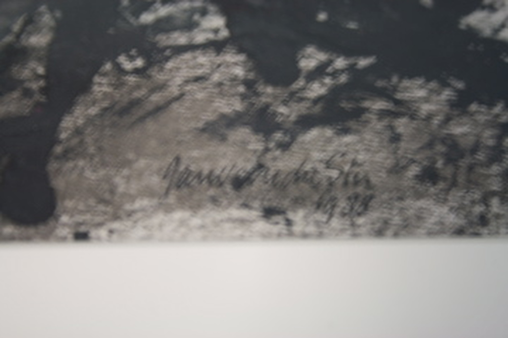 zwart/wit kopen? Bied vanaf 100!