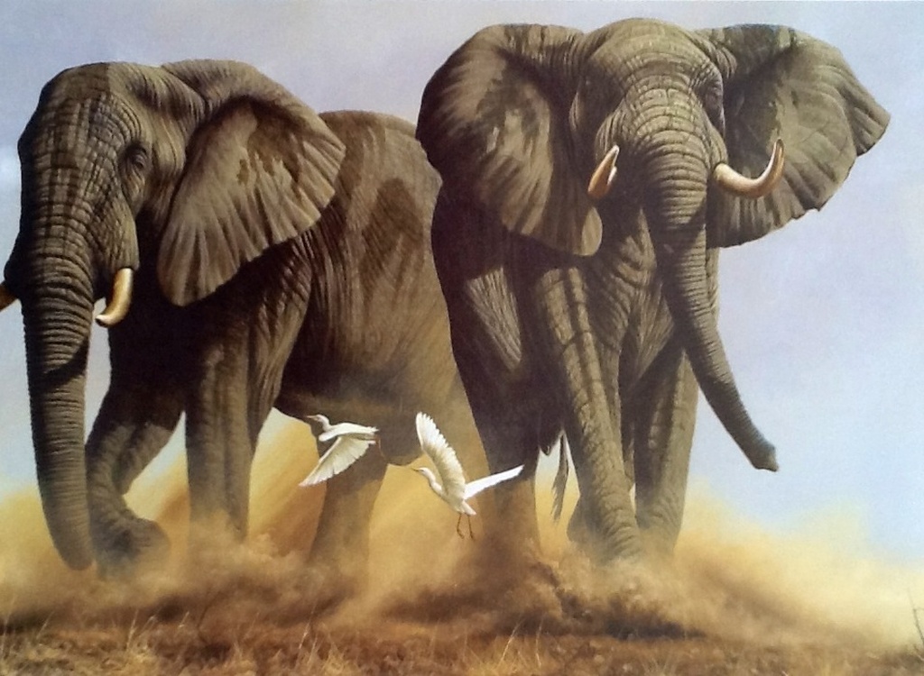 Andrew Bone, kleuren lithoThe Last Frontier kopen? Bied vanaf 1!