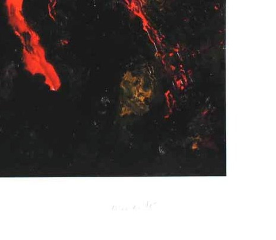 Armando : zon kopen? Bied vanaf 99!