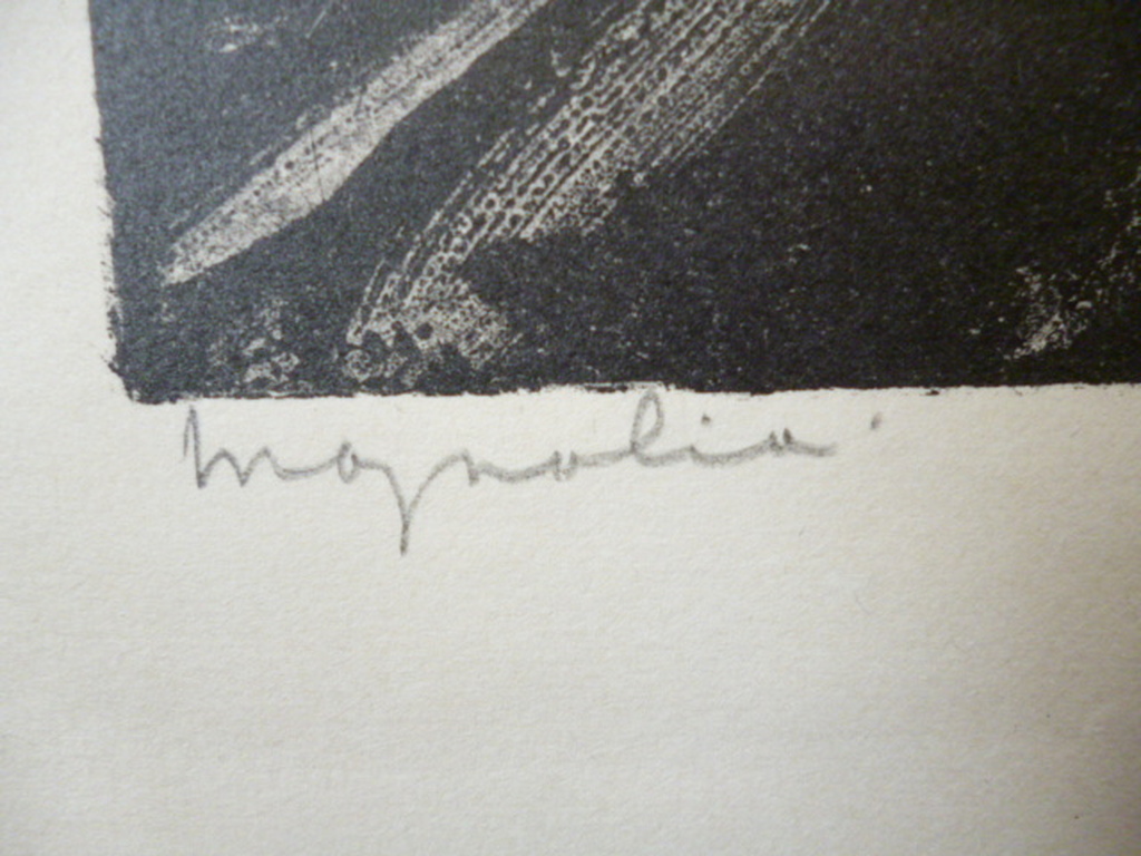 Aart van Dobbenburgh - litho - Magnolia kopen? Bied vanaf 50!