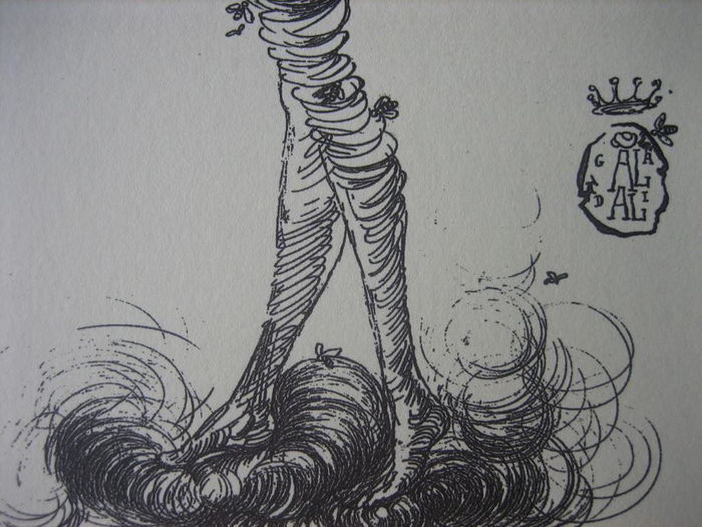 Salvador Dalí - The Poet - Lithografie - Oplage 2500 ex. -1944 kopen? Bied vanaf 1!