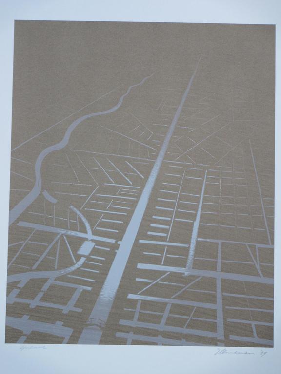 Jeroen Henneman, Stadsopbouw vanuit de lucht, Zeefdruk verkocht voor € 100!
