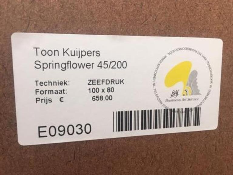 Springflower kopen? Bied vanaf 50!