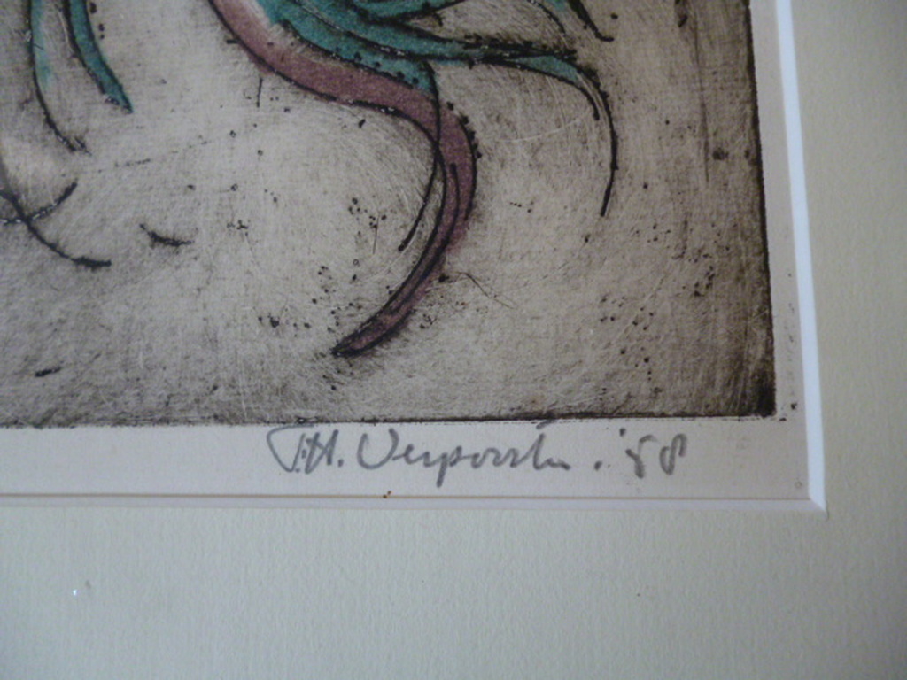 Octopussen kopen? Bied vanaf 50!