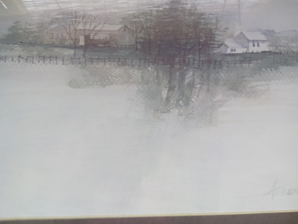 Ackeman Auqaurel boederij kopen? Bied vanaf 50!