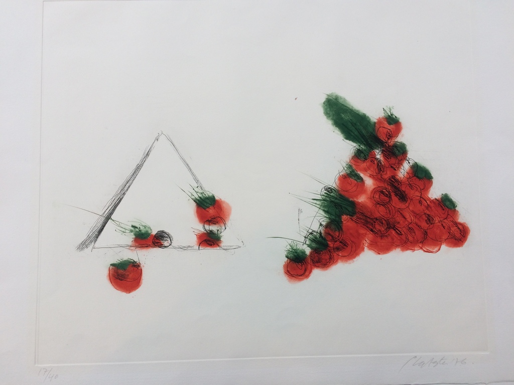 Ger Lataster, mooie kleurenets uit 1976 in perfecte staat 17/40 verkocht voor € 105!