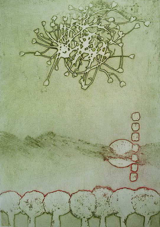 Jan Montyn - Heuvelbloemen Haute Provence, aquatint ets kopen? Bied vanaf 125!