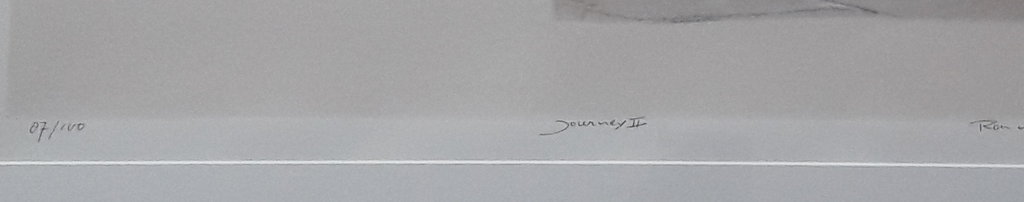 Ron van der Werf , titel Journey II, gesigneerd kopen? Bied vanaf 120!