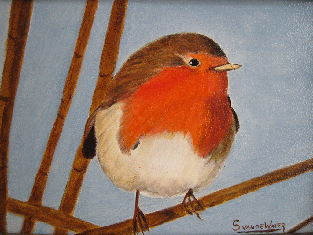 Sylvia van de Water: olieverf op paneel, Roodborstje kopen? Bied vanaf 60!