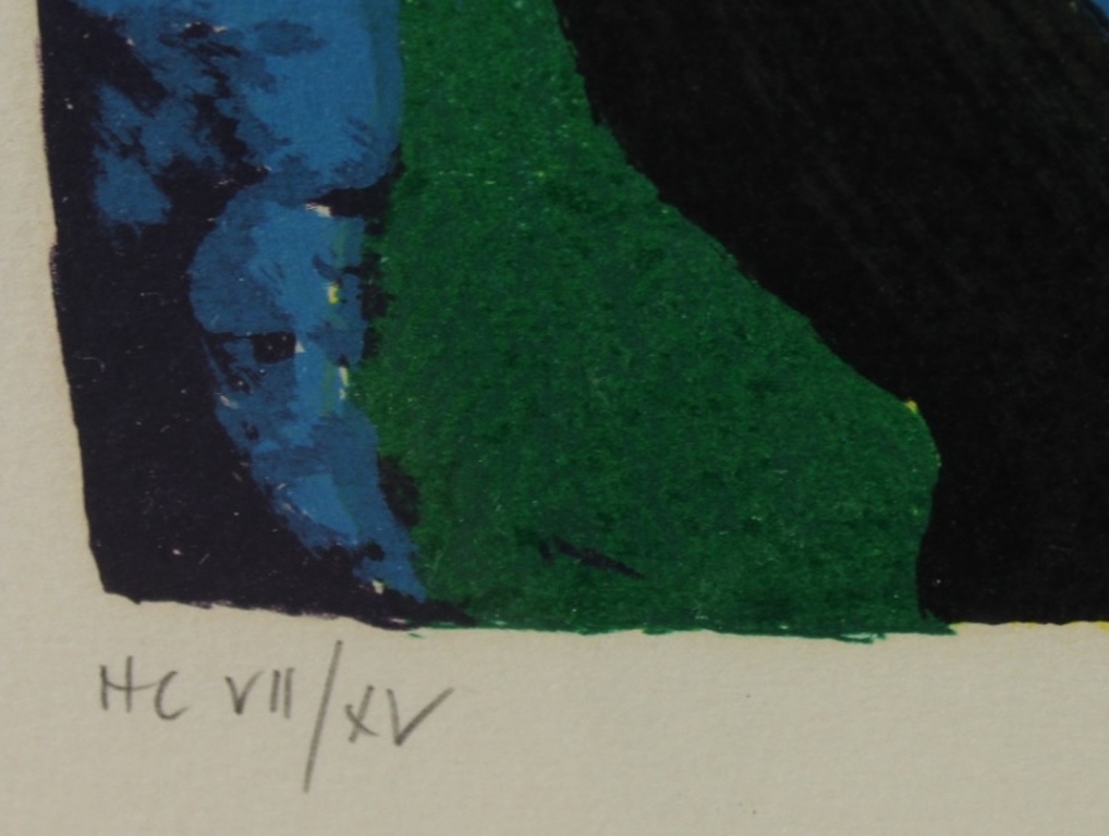 Karel Appel  ZEER zeldzame litho  kopen? Bied vanaf 1825!