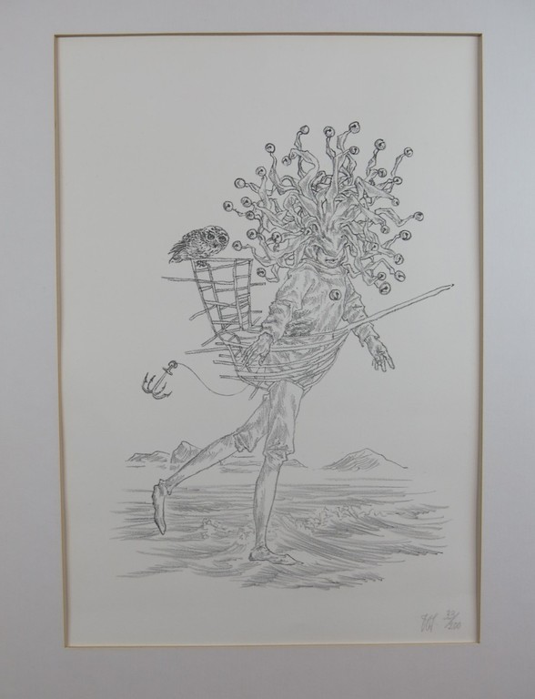 Peter Vos: Litho, Narrenschip met uil kopen? Bied vanaf 80!