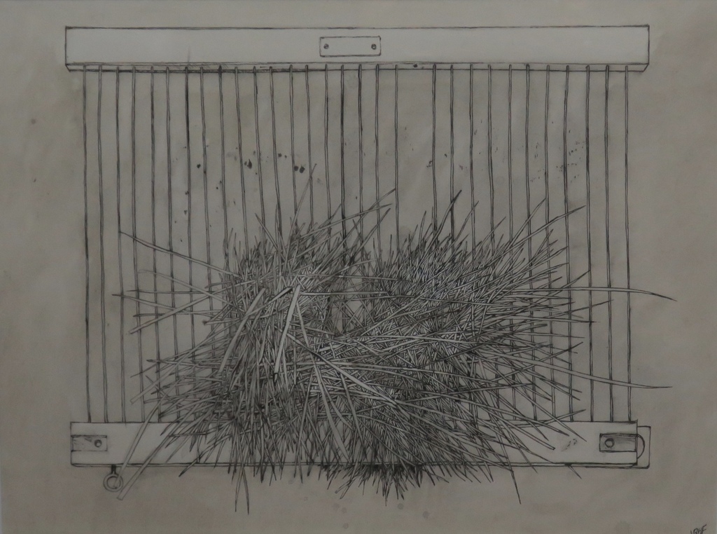 Gradus Verhaaf: Inkttekening, Hok -Ingelijst kopen? Bied vanaf 20!