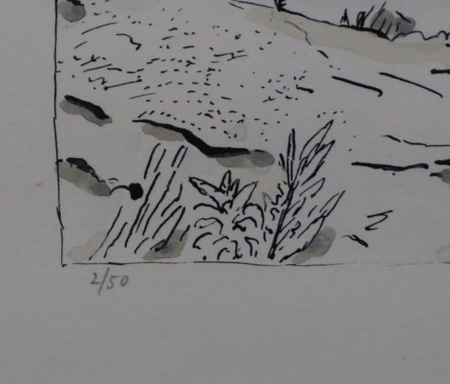 Pieter Holstein: Handgekleurde ets, Landschap met borstel -Ingelijst kopen? Bied vanaf 35!