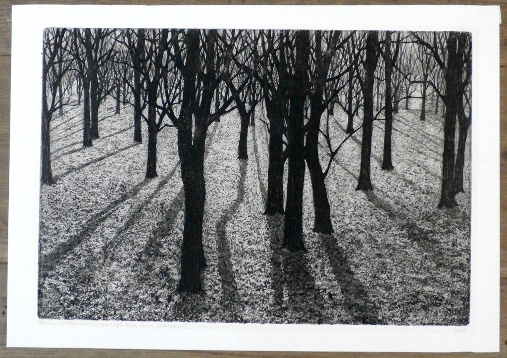 Paulien Wittenrood - ets: bos - 1974 kopen? Bied vanaf 50!